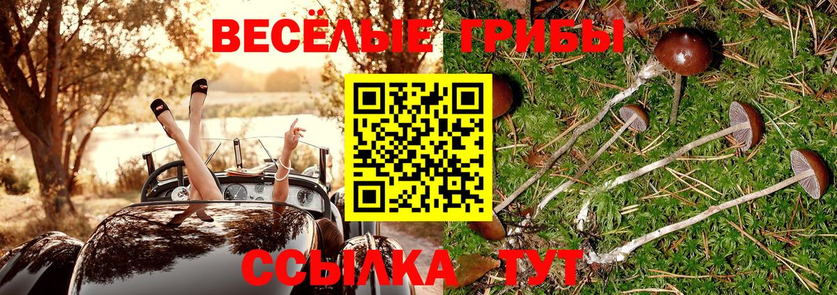 Псилоцибиновые грибы мицелий  Вход с VPN  Ишим  Галлюциногенные грибы Psilocybine cubensis 